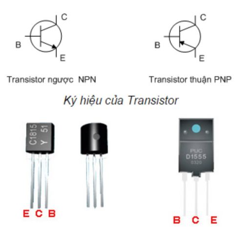 Transistor là gì ? Đặc điểm và nguyên lý hoạt động - Thế Giới Điện Cơ